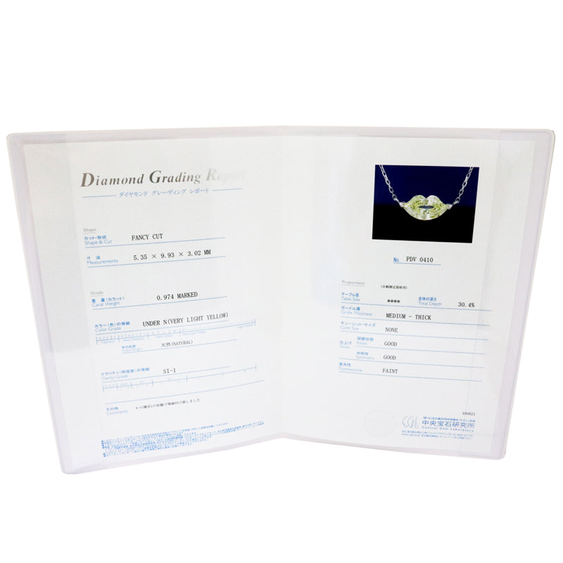PT850/D0.974ct リップカット ダイヤモンドネックレス【新品】